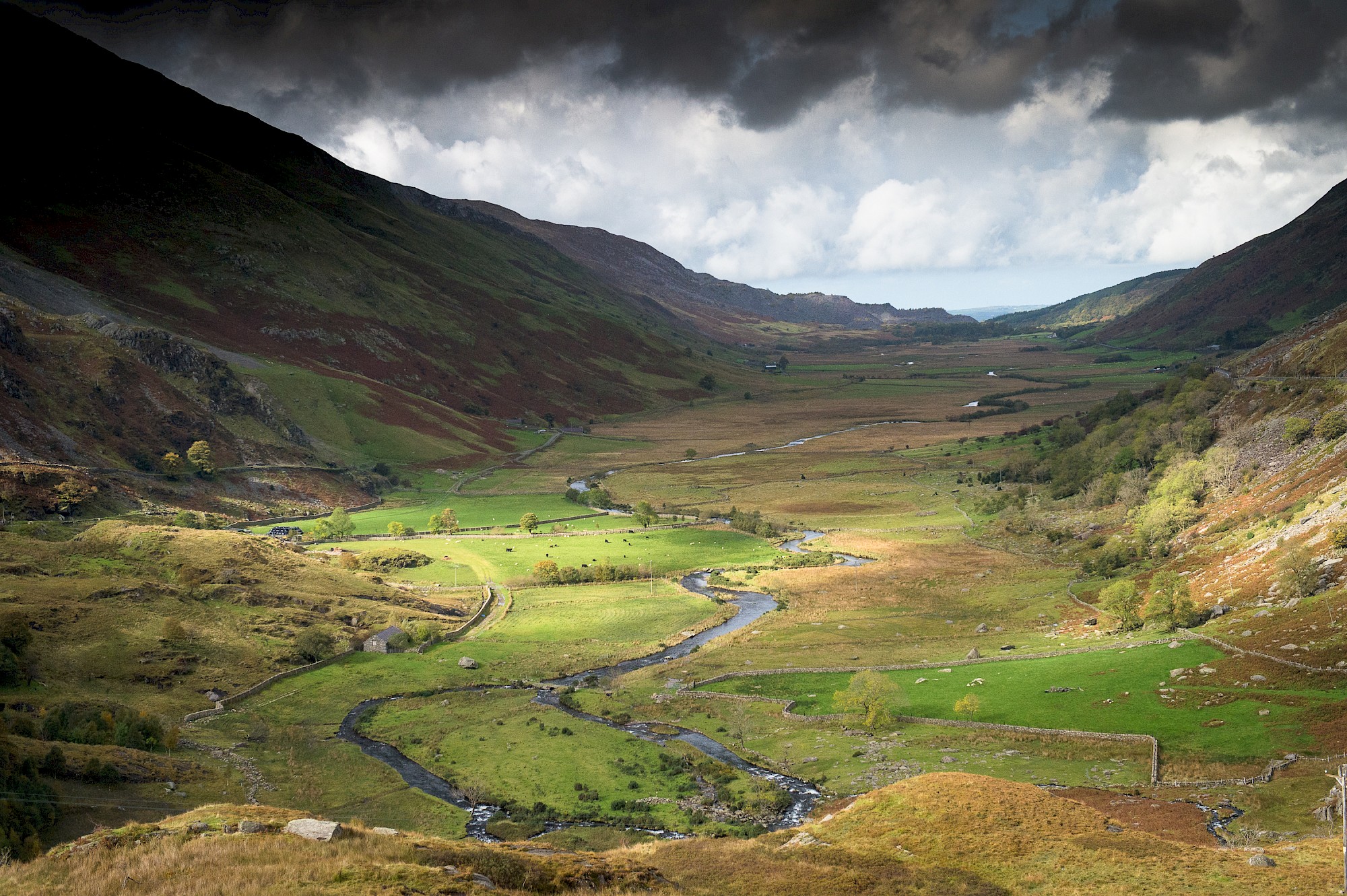 Partneriaeth Ogwen